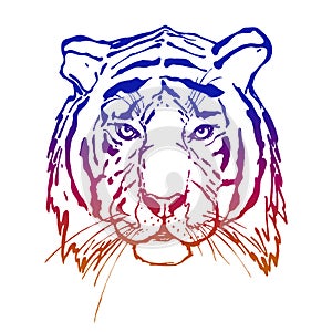 Tiger. Head. Wild animal. The logo for your design. Hand drawn.