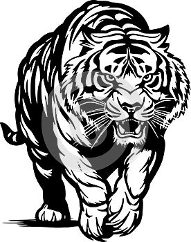 Tiger - high quality vector logo - vector illustration ideal for t-shirt graphic photo