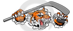 Tiger Ice Hockey Player Animal Sports Mascot