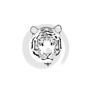 Tiger isolated outline vector