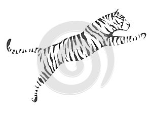 Tiger Jump