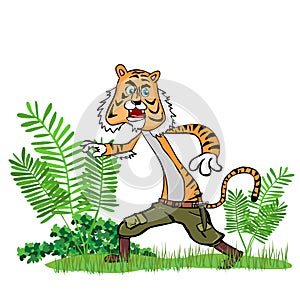 Tiger in the jungle