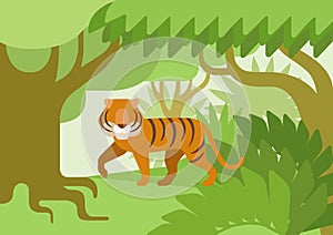 Tiger jungle habitat flat design cartoon vector wild animal photo