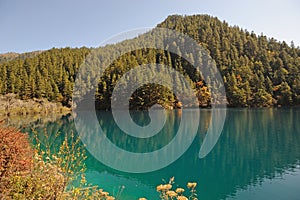 Tiger lake in Jiuzhaigou