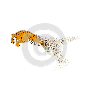 Tiger leaping from the disintegrated pieces