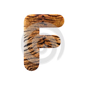 Tiger letter F - Upper-case 3d Feline fur font - suitable for Safari, Wildlife or big felines related subjects