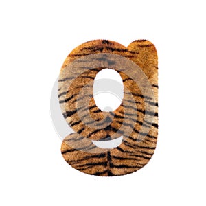 Tiger letter G - Small 3d Feline fur font - Suitable for Safari, Wildlife or big felines related subjects