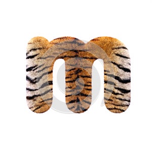 Tiger letter M - Lowercase 3d Feline fur font - Suitable for Safari, Wildlife or big felines related subjects