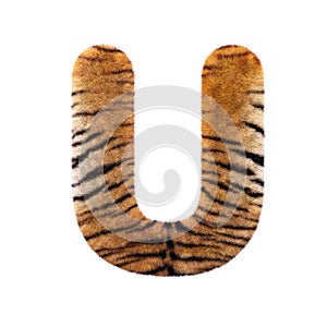 Tiger letter U - Capital 3d Feline fur font - suitable for Safari, Wildlife or big felines related subjects