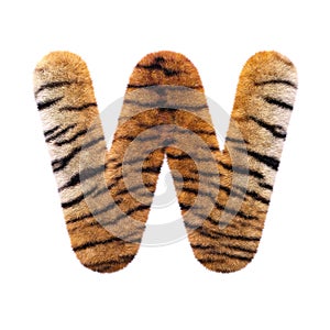 Tiger letter W - Capital 3d Feline fur font - suitable for Safari, Wildlife or big felines related subjects