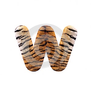 Tiger letter W - Lower-case 3d Feline fur font - Suitable for Safari, Wildlife or big felines related subjects