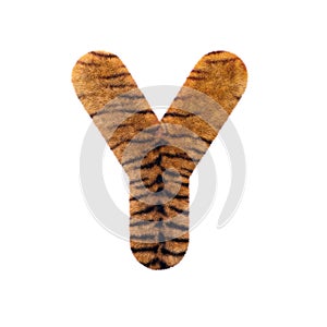 Tiger letter Y - Capital 3d Feline fur font - suitable for Safari, Wildlife or big felines related subjects