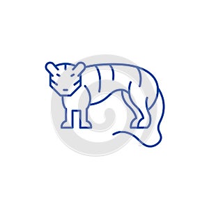 Tiger line icon concept. Tiger flat  vector symbol, sign, outline illustration.