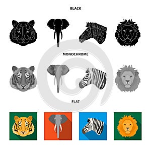 Tiger, lion, elephant, zebra, Realistic animals set collection icons in black, flat, monochrome style vector symbol photo