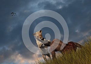 Tiger Lion Pouncing On Man Illustration photo
