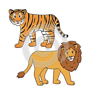 Tiger and lion vector isolated animals. Hand drawn cartoon drawing on white background