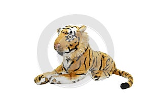 a tiger lying on the ground with white background