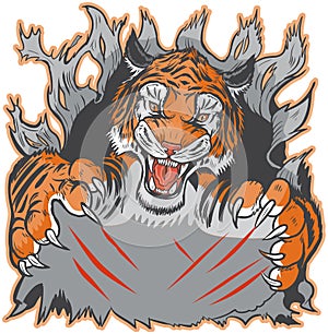 Tiger Mascot Ripping out Background and Clawing Vector Template photo