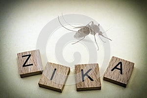 Tiger mosquito, causing the Zika virus