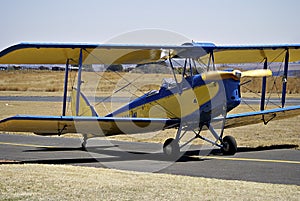 Tiger Moth