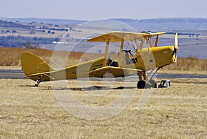 Tiger Moth