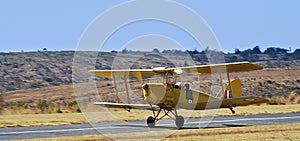 Tiger Moth - All Yellow