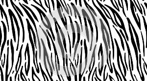 Tiger. Pattern texture repeating seamless monochrome black & white.