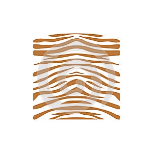 Tiger  pattern vector illustration design