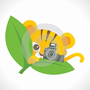 Tiger photographer