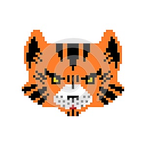 Tiger pixel art. Big wild striped cat pixelated. 8 bit vector illustration