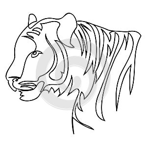 Tiger portrait abstract line art