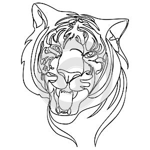 Tiger portrait abstract line art