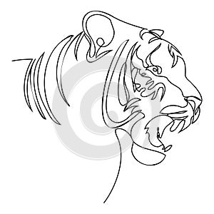 Tiger portrait abstract line art