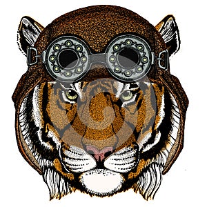 Tiger portrait. Wild cat head. Aviator flying leather helmet with googles.