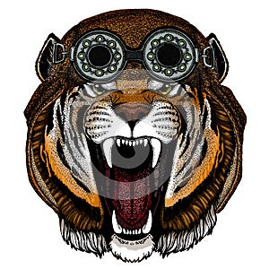 Tiger portrait. Wild cat head. Aviator flying leather helmet with googles.