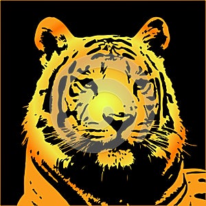 Tiger portraitÂ€