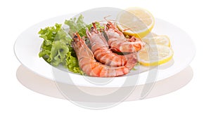 Tiger prawn