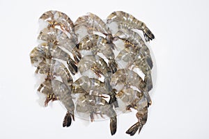 Tiger Prawn without head