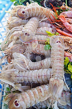 Tiger prawns in raw form