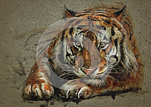 Tiger predator watercolor painting animals background texture