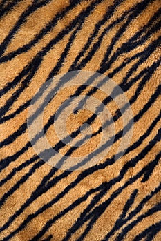 Tiger print carpet