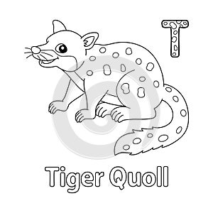 Tiger Quoll Alphabet ABC Coloring Page T