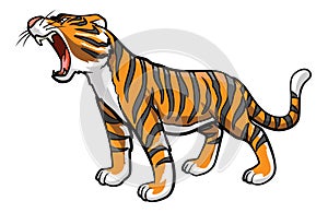 Tiger Roars Loudly Color Illustration Design