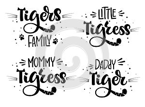 Tiger`s Family set of hand draw calligraphy script lettering whith dots, splashes and whiskers decore