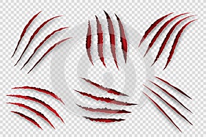 Tiger scratches. Danger scary claw symbols for horrors monster paws with blood shapes decent vector set