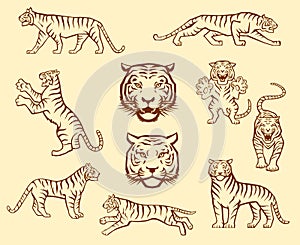Tiger set