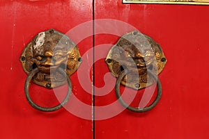 Tiger shape brass door knob