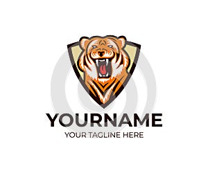Tiger in shield logo template. Striped beast and predator vector design