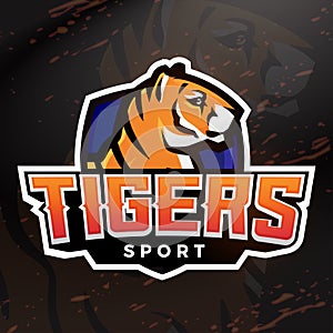 Tiger shield sport mascot template. Premade football, basketball or baseball patch design. College league insignia