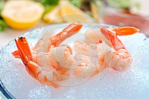 Tiger Shrimp on Ice